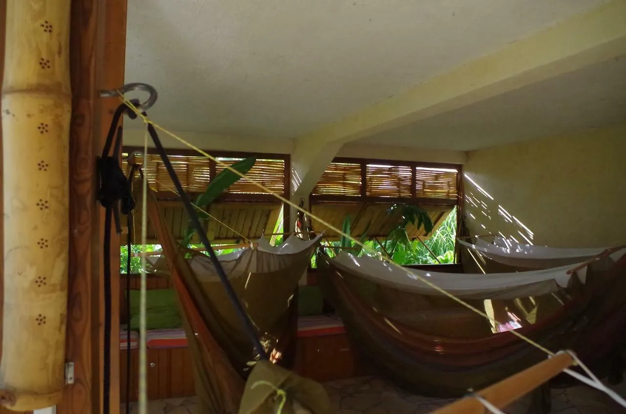 La Suite De Kaz'Hamac Auberge de jeunesse Grand-Bourg (Marie Galante)